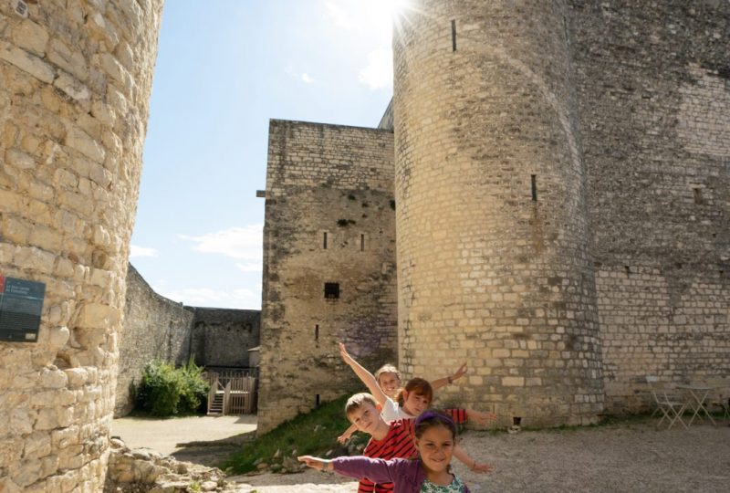 Château de Montélimar à Montélimar - 1