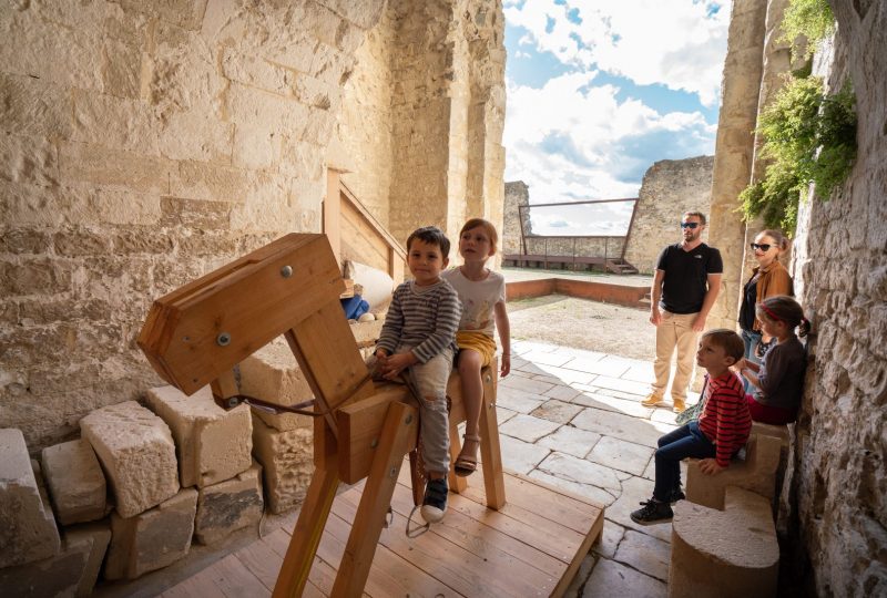 Château de Montélimar à Montélimar - 6