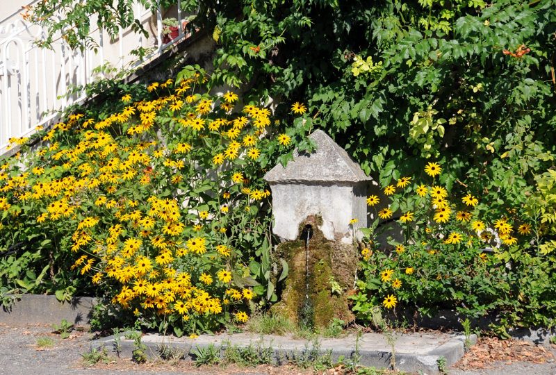 Visite Guidée “ Fontaines & Bassins “ dans le cadre de Dieulefit dans son jardin à Dieulefit - 2