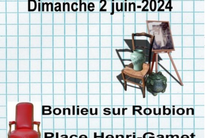 Vide grenier à Bonlieu-sur-Roubion - 0