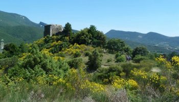 30758585-diaporama