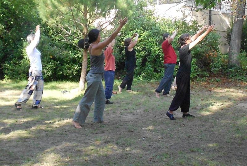 Stage Qiqong et Taichi Chuan Diuelefit du 28 juillet au 2 août 2025 à Dieulefit - 0
