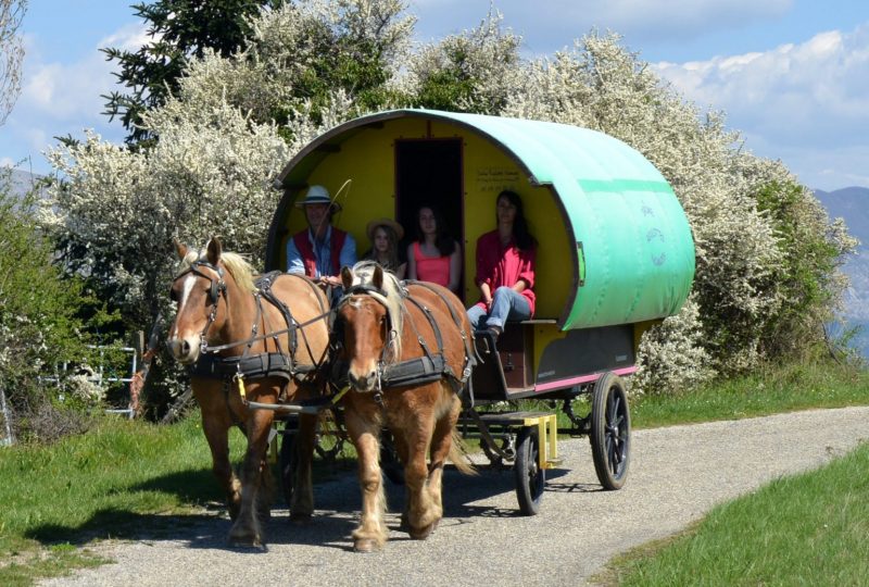 Viertägiger Urlaub im Pferdewagen in Drôme à Le Poët-Célard - 6