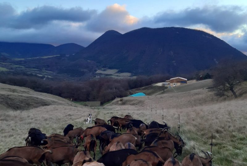 Gaec Le Chevristan à Comps - 5