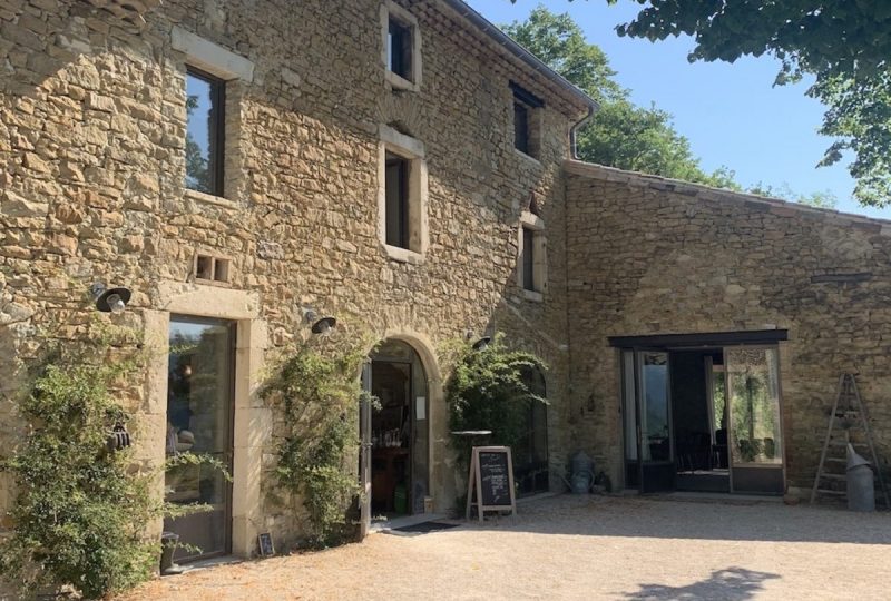 Balade découverte des plantes médicinales sur un domaine de lavande à La Bégude-de-Mazenc - 2