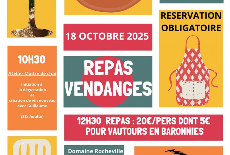 Repas Vendanges au Domaine de Rocheville à Nyons - 0