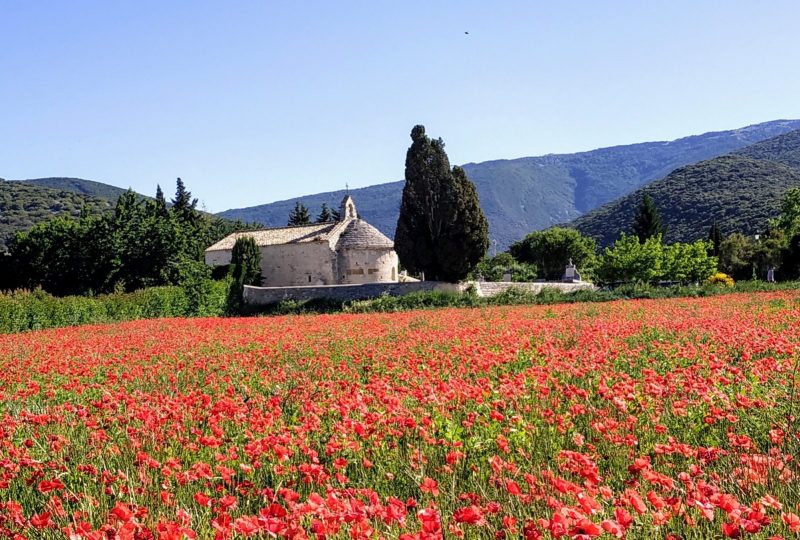 Visite commentée ou libre chapelle romane Sainte-Anne à Le Pègue - 0