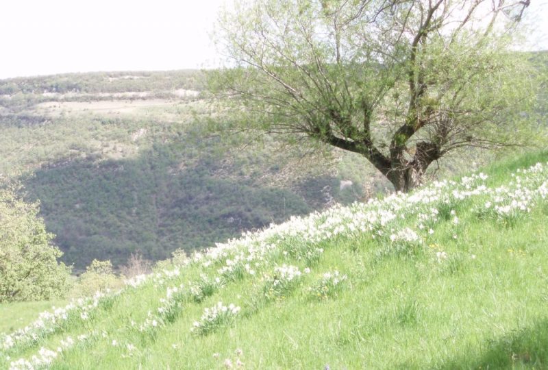 GRP du pays de Dieulefit à Le Poët-Laval - 1