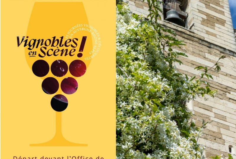 Histoire du vin, visite guidée et dégustation à Grignan - 0