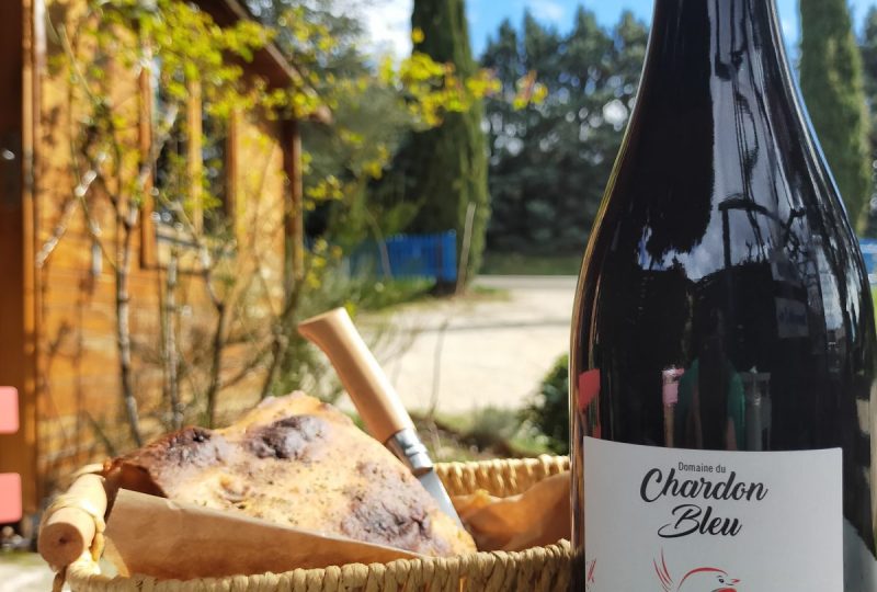 Domaine du Chardon Bleu à Roche-Saint-Secret-Béconne - 6