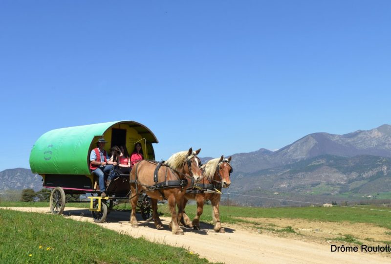 Une semaine de bohème en roulotte tirée par des chevaux à Le Poët-Célard - 4