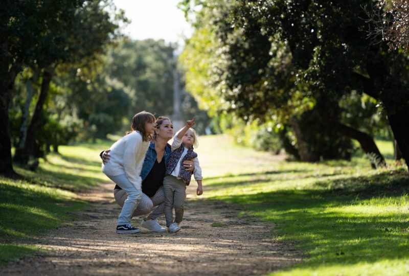 Château de Suze-la- Rousse à Suze-la-Rousse - 2