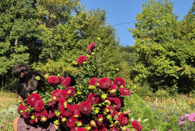 Maison Raspail – Fleurs de la Drôme à Bourdeaux - 9