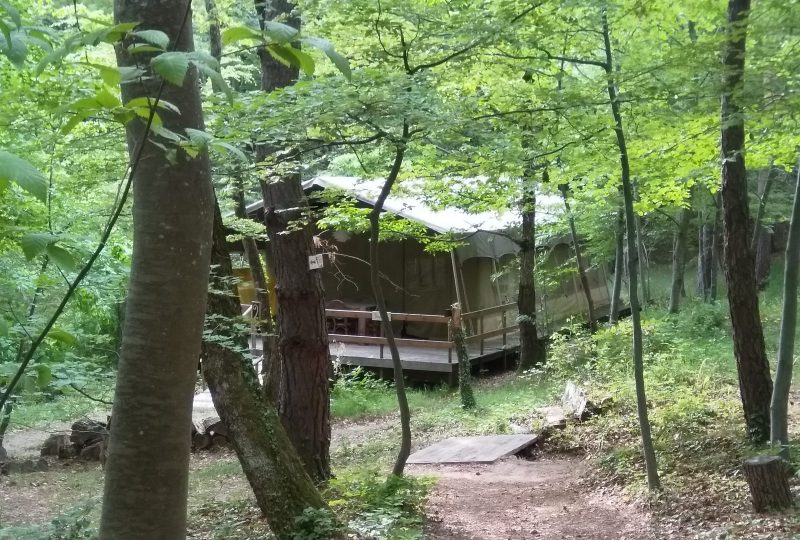 L’Ermitage du Grand Bois – Insolites à Le Poët-Célard - 10