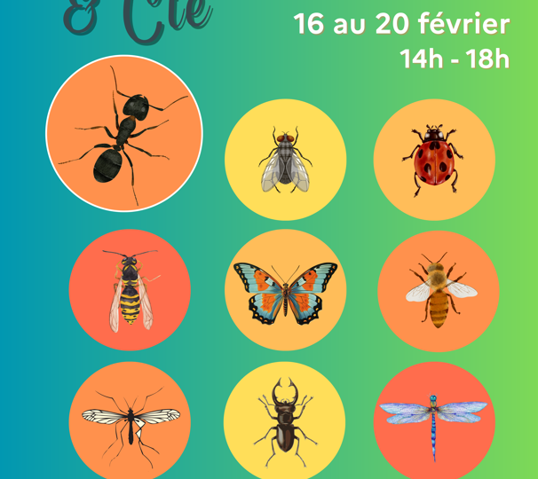 Exposition « Fourmis & Cie » à Dieulefit - 0