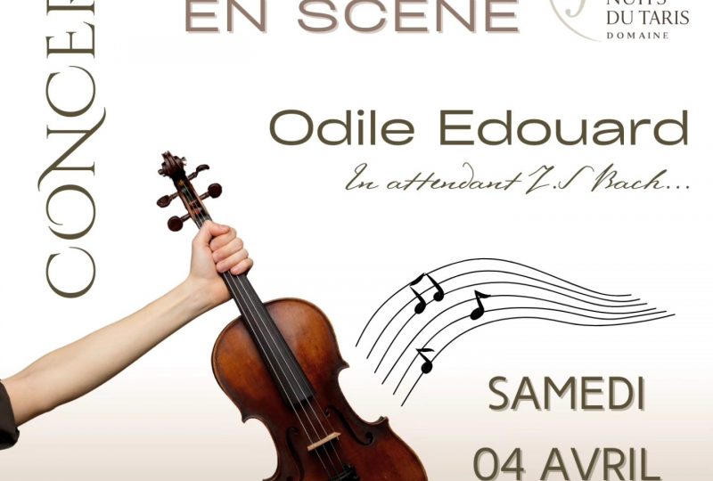 Concert de la violoniste baroque Odile Edouard à Bourdeaux - 0