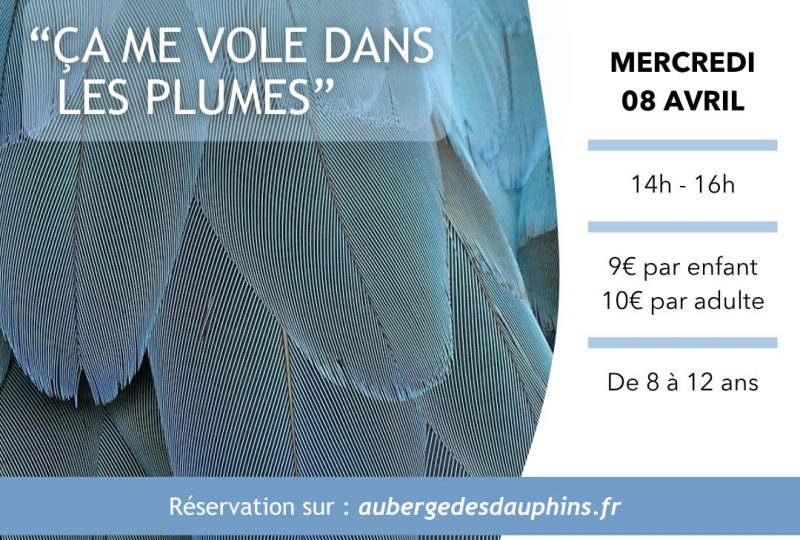 ça me vole dans les plumes à Saoû - 0