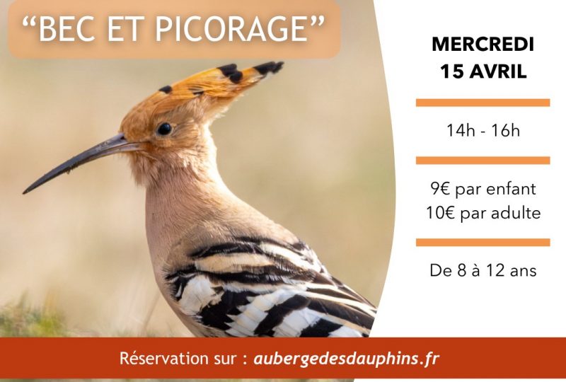 Atelier jeune public: Bec et picorages à Saoû - 0