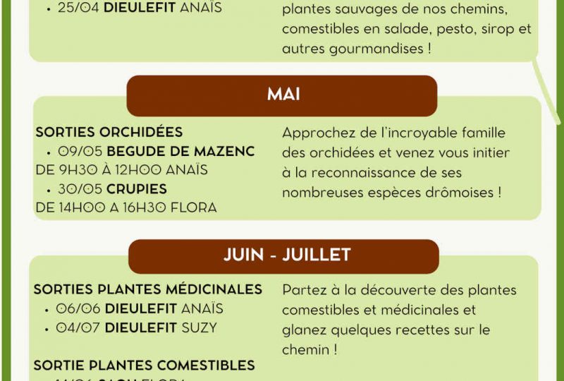 Sortie plantes comestibles à Saoû - 0