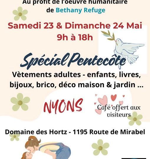 Vide grenier spécial pentecote à Nyons - 0