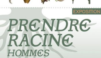 41285749-diaporama