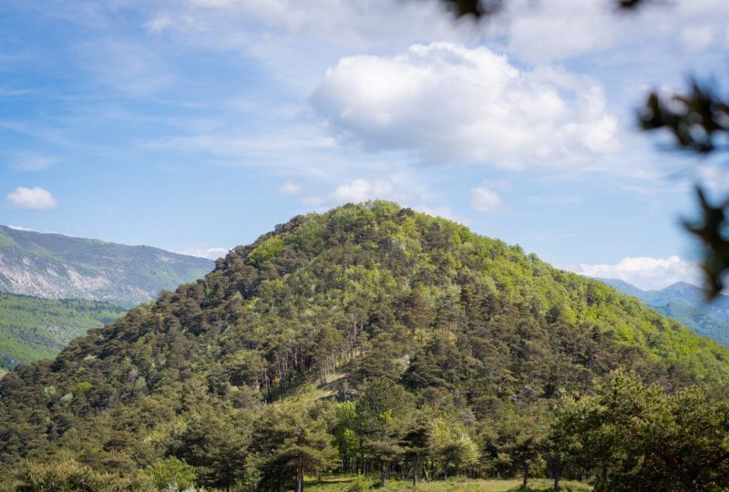Le Pas-la-Baume à Bézaudun-sur-Bîne - 1
