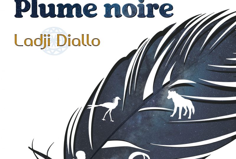 Nouvelles du Conte – Ladji Diallo : Poil noir plume noir à Bourdeaux - 0