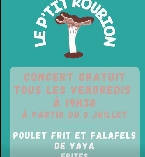 Concert du vendredi à Bourdeaux - 0
