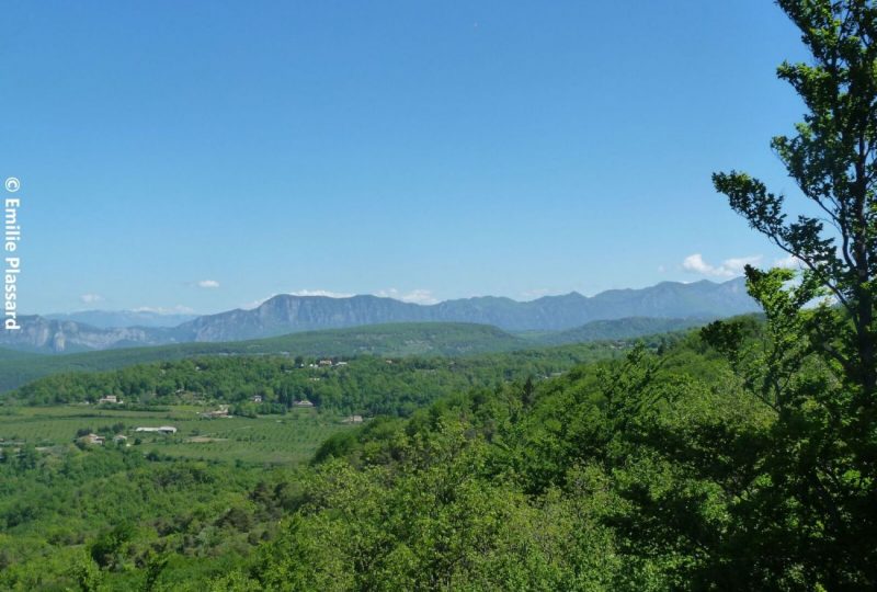 Le Trou du Furet à Eyzahut - 5