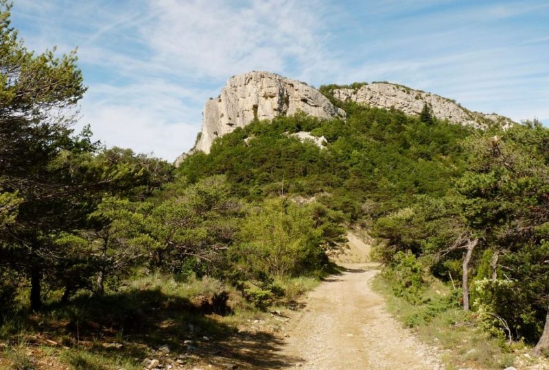 Le rocher des Aures à Roche-Saint-Secret-Béconne - 1