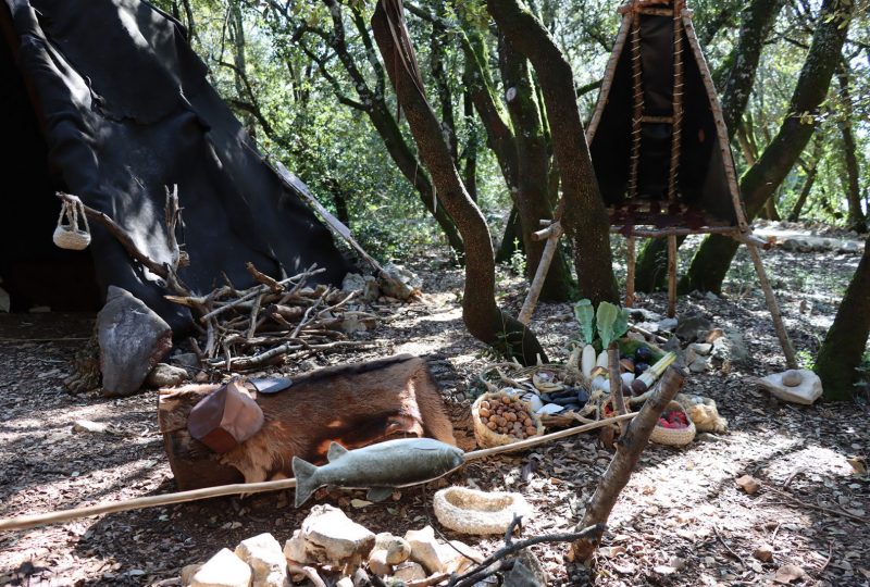 Veranstaltung „Küche der Altsteinzeit“: Veranstaltungen zur Urgeschichte in der Grotte Chauvet 2 à Vallon-Pont-d'Arc - 0