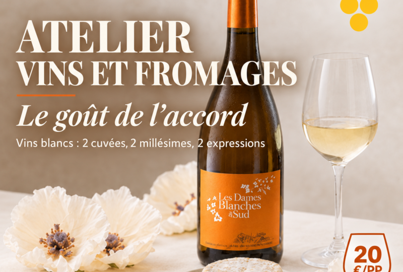 Domaine de Grangeneuve – Atelier Vins Blancs et Fromages, le goût de l’accord à Roussas - 0
