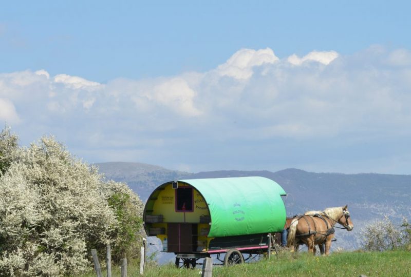 Circuit en roulotte en famille dans le pays de Dieulefit-Bourdeaux et forët de Saouu à Le Poët-Célard - 4