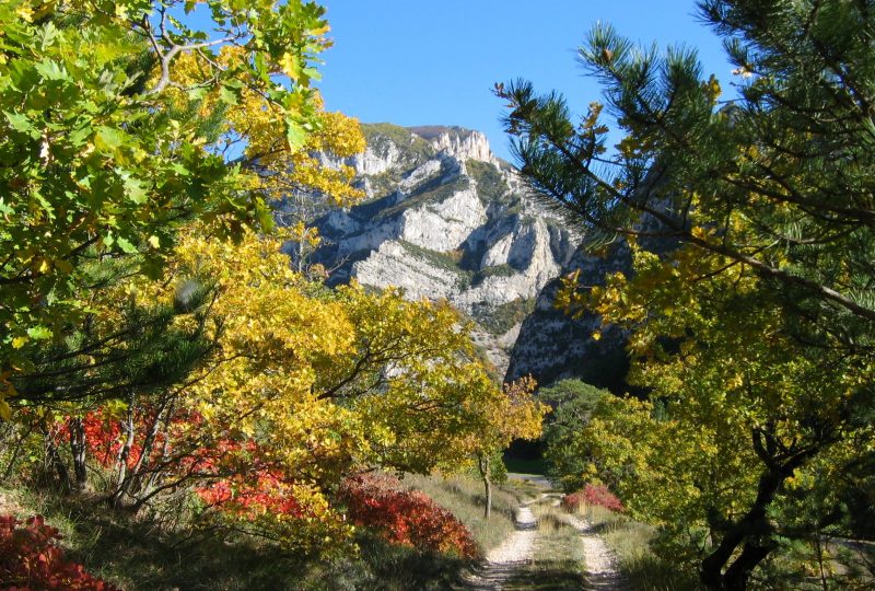 Les anciennes fermes à Saou - 1