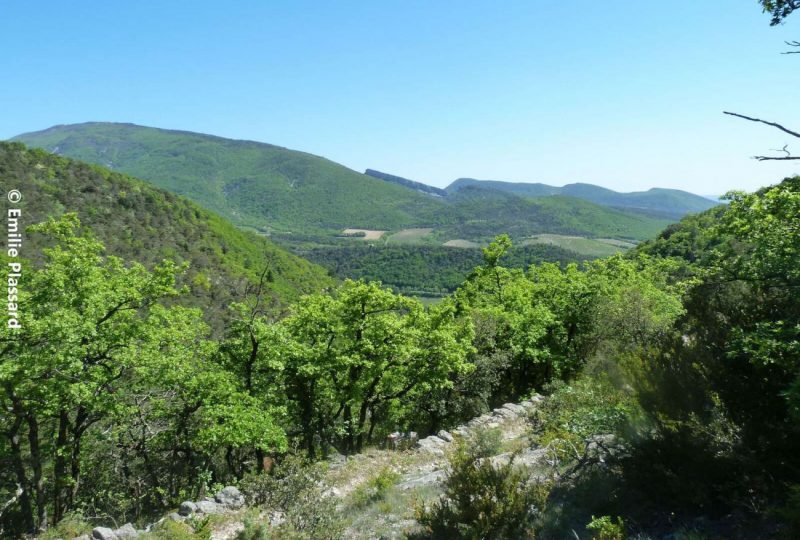 La montagne de Dieu-Grâce à Dieulefit - 1