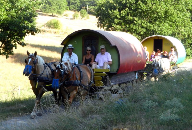 Your holidays in a horse-drawn caravan à Le Poët-Célard - 7