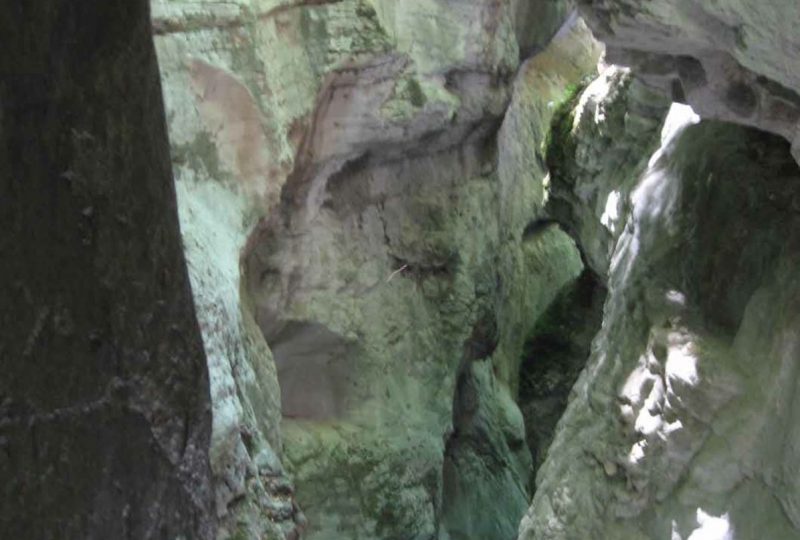 Canyoning with Drôme Aventure Activity Centre à Die - 4