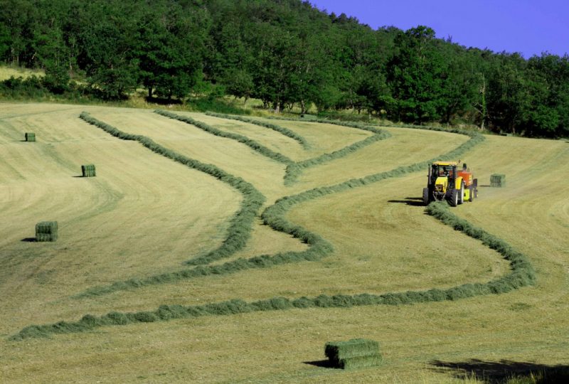 Ferme de Pracoutel à Vesc - 0