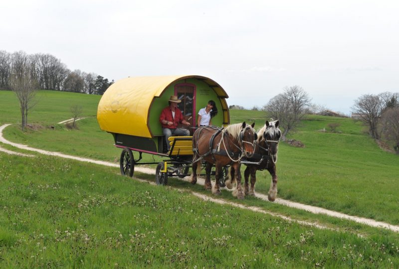 “Grain of bohemia” 2 days and 1 nigth in a horse drawn caravan à Le Poët-Célard - 4