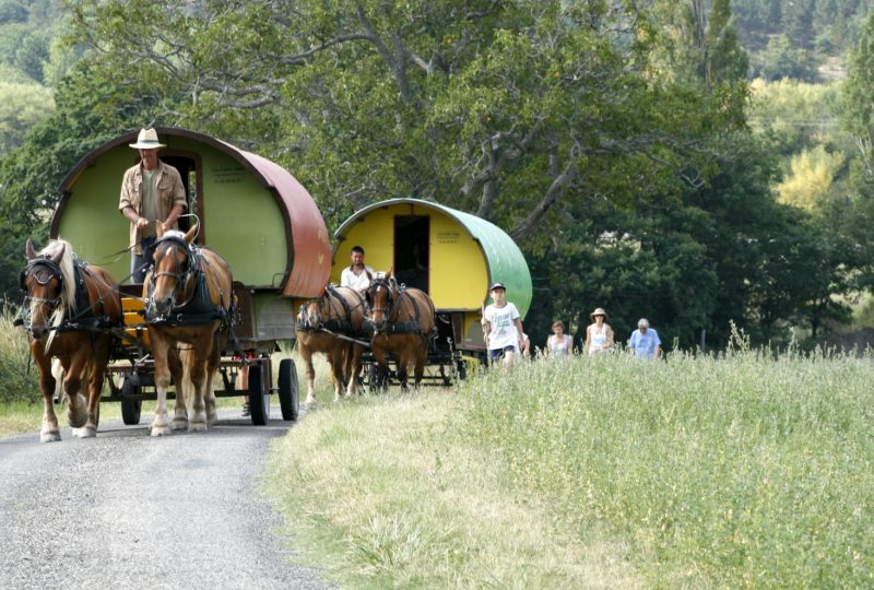 “Grande bohème” : six-day  trip in horse drawn caravane à Le Poët-Célard - 1