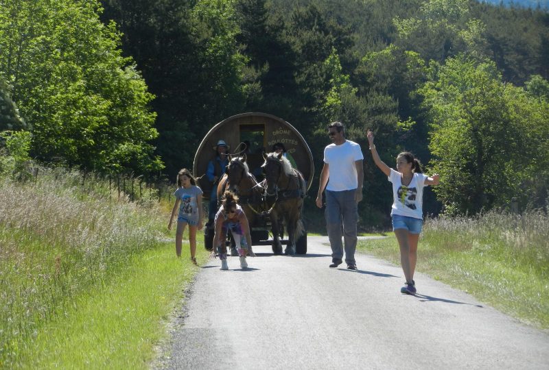 “Grande bohème” : six-day  trip in horse drawn caravane à Le Poët-Célard - 2