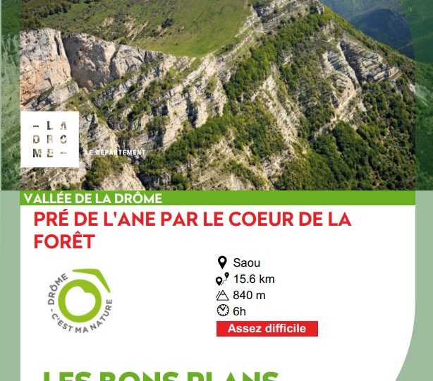 Pré de l’Ane par le coeur de la forêt à Saoû - 0