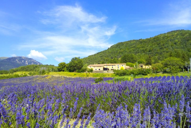 Auberge de Miélandre à Teyssières - 2