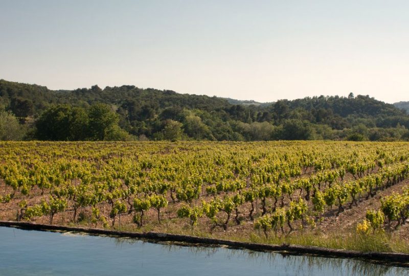 Les Vignerons de Valléon – Caveau de St Gervais sur Roubion à Saint-Gervais-sur-Roubion - 2