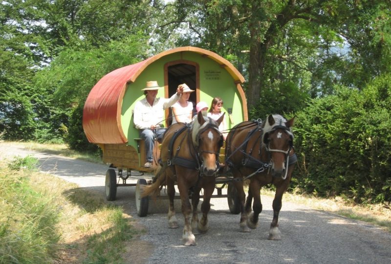 Horse drawn-carriage à Le Poët-Célard - 2