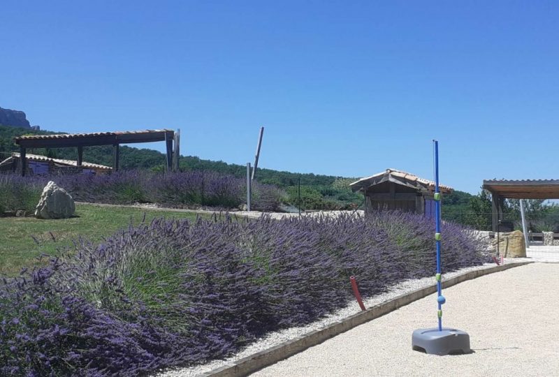 Gîte Le Saint Maurice à Truinas - 8