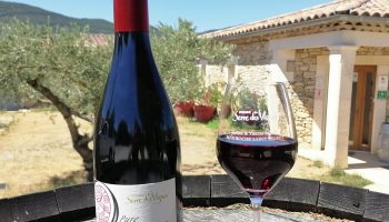 Domaine du Serre des Vignes_Roche-Saint-Secret-Béconne
