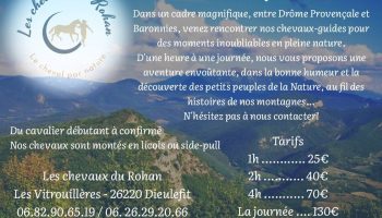 30377463-diaporama