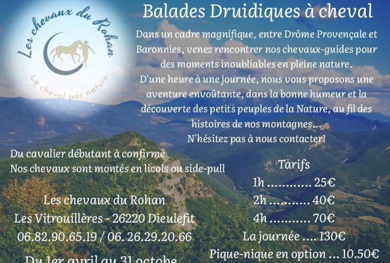 Les Chevaux du Rohan à Dieulefit - 0