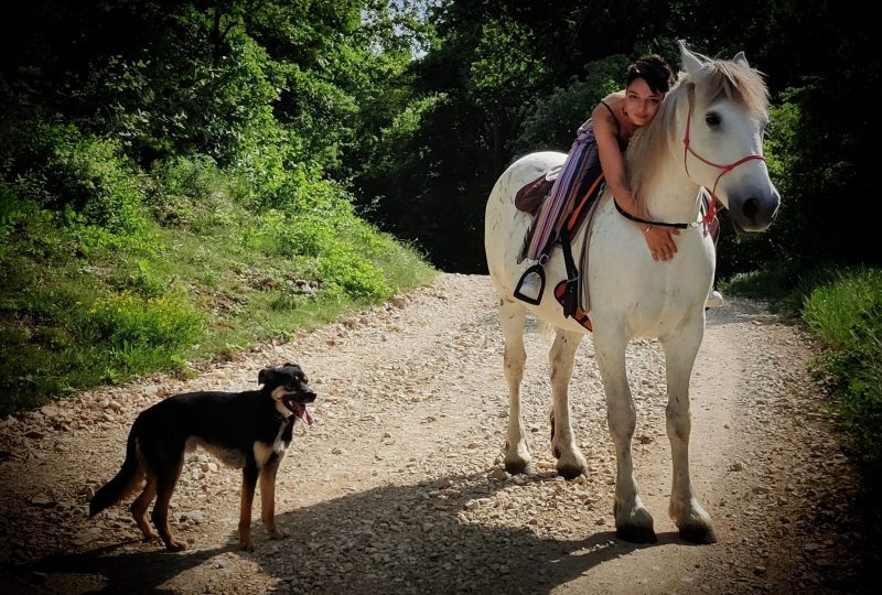 Les Chevaux du Rohan à Dieulefit - 5